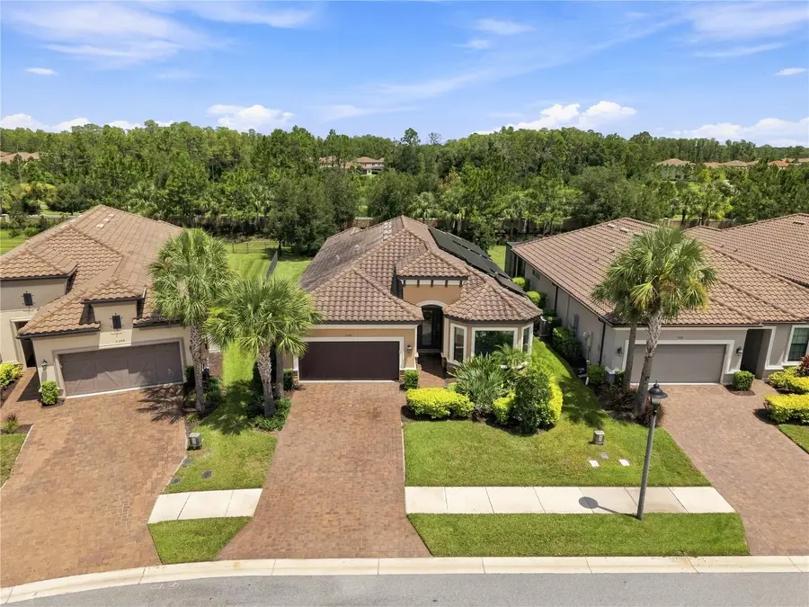 11301 Juglans Drive, Odessa, FL 33556 - #2