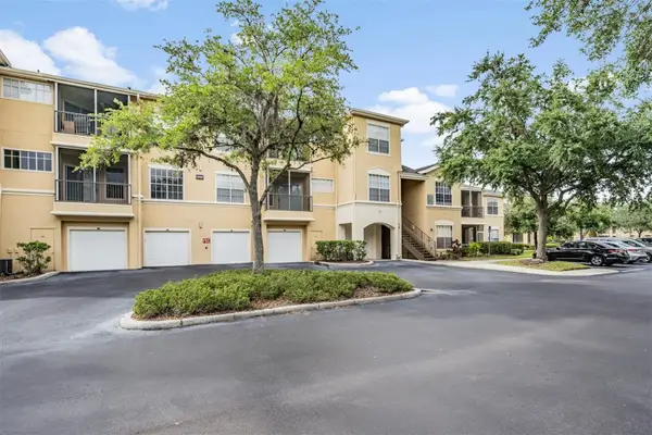 5125 Palm Springs Boulevard #8203, TAMPA, FL 33647
