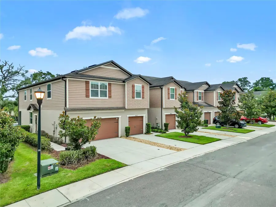 5019 Blue Latan Lane, Tampa, FL 33610 - #2