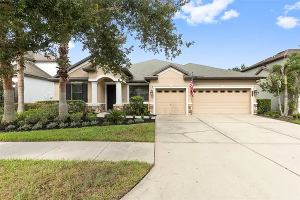 7957 Hampton Lake Drive, TAMPA, FL 33647