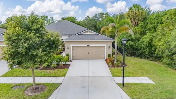11505 Cambium Crown Drive, RIVERVIEW, FL 33569