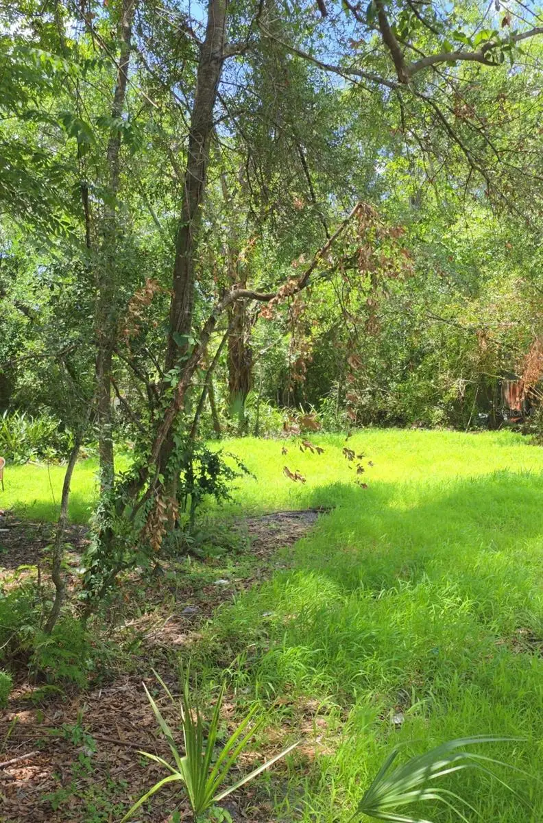 2919 E 25th Avenue, Tampa, FL 33605 - #3