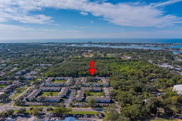 13125 Wilcox Road #16105, LARGO, FL 33774