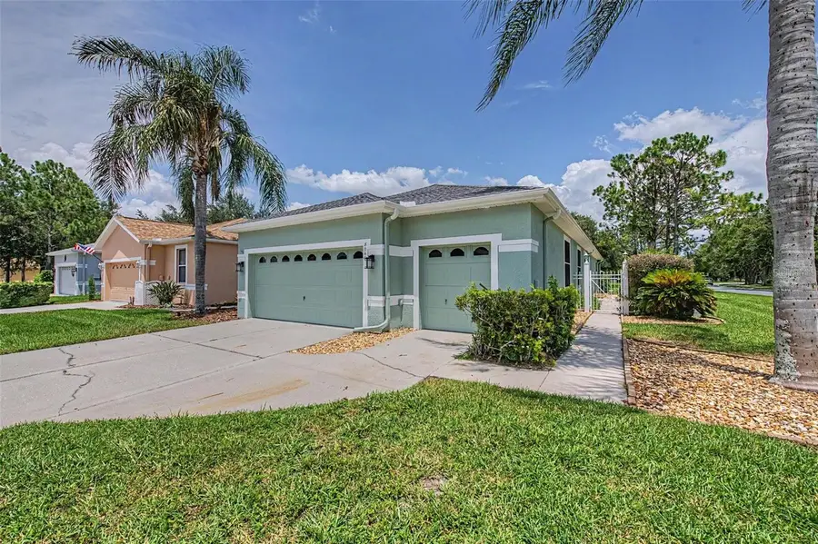 8046 Ponkan Road, Land O Lakes, FL 34637 - #2