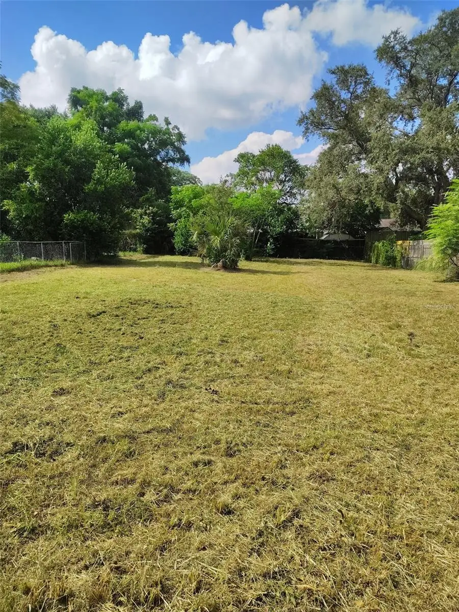 0 E Linebaugh Avenue, Tampa, FL 33617 - #1