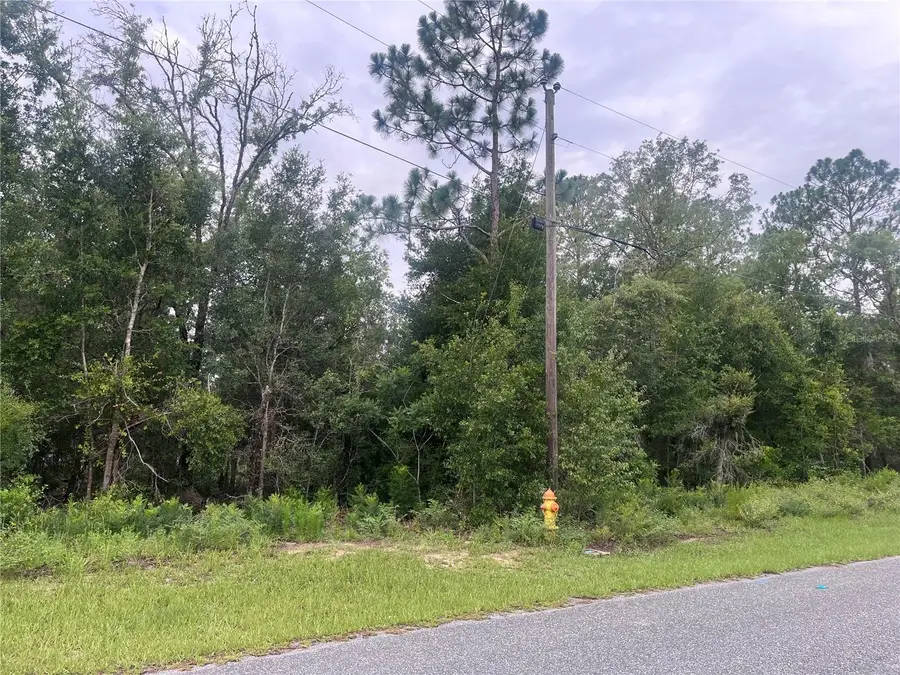 11060 N Iron Drive, Citrus Springs, FL 34434 - #2