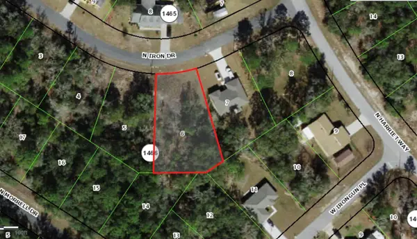 11052 N Iron Drive, CITRUS SPRINGS, FL 34434