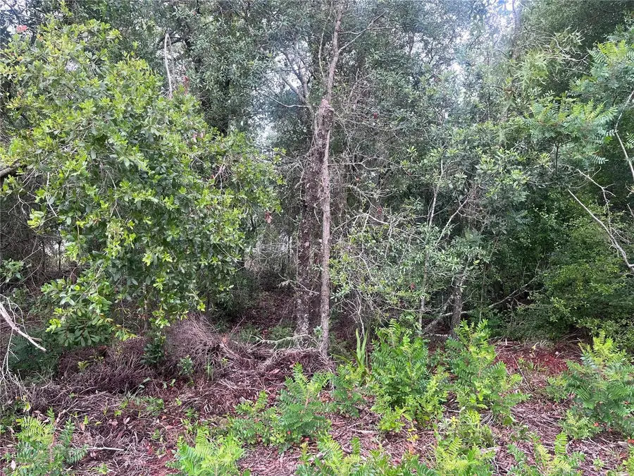 11052 N Iron Drive, Citrus Springs, FL 34434 - #3