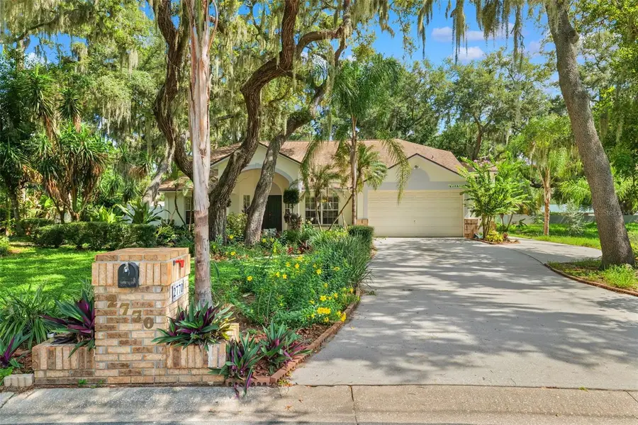 2770 Buckhorn Oaks Drive, Valrico, FL 33594 - #3