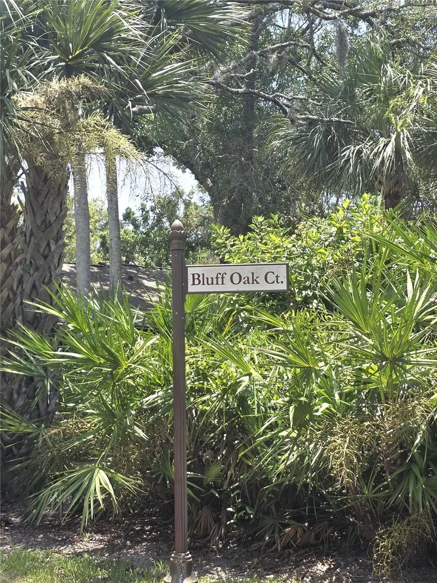 4045 Bluff Oak Court, Palm Harbor, FL 34684 - #2