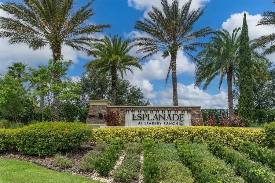 3142 Francoa Drive, Odessa, FL 33556 - #3