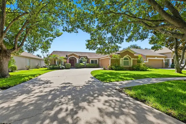 3720 Treeline Drive, VALRICO, FL 33596