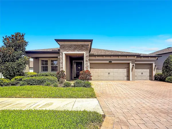 19563 Leonard Road, LUTZ, FL 33558