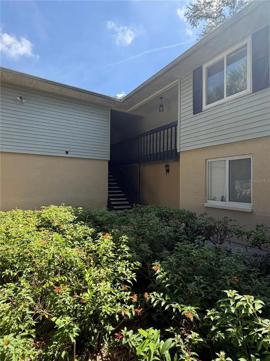 233 Thorn Tree Place, Brandon, FL 33510 - #2