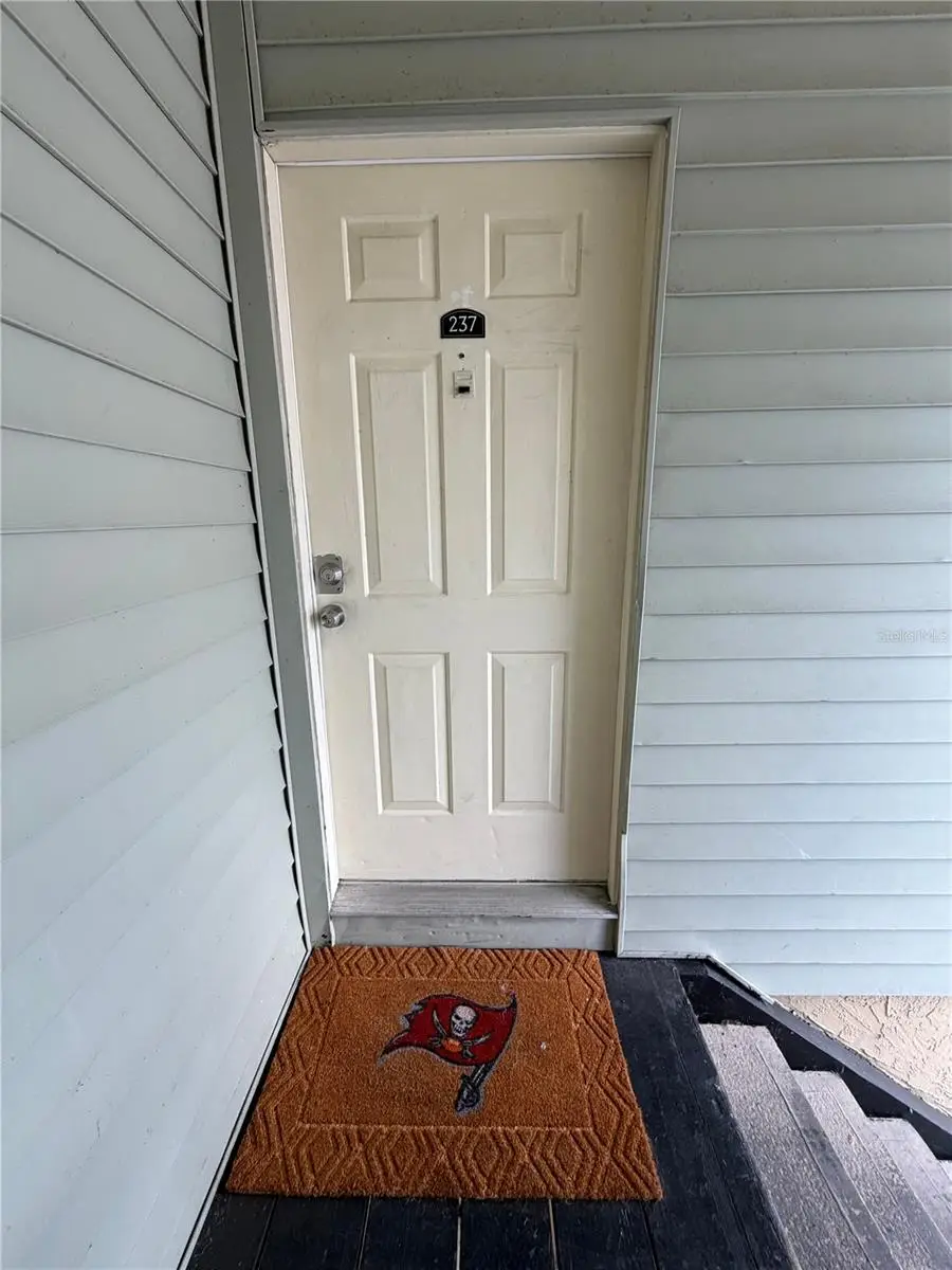 237 Red Maple Place, Brandon, FL 33510 - #3