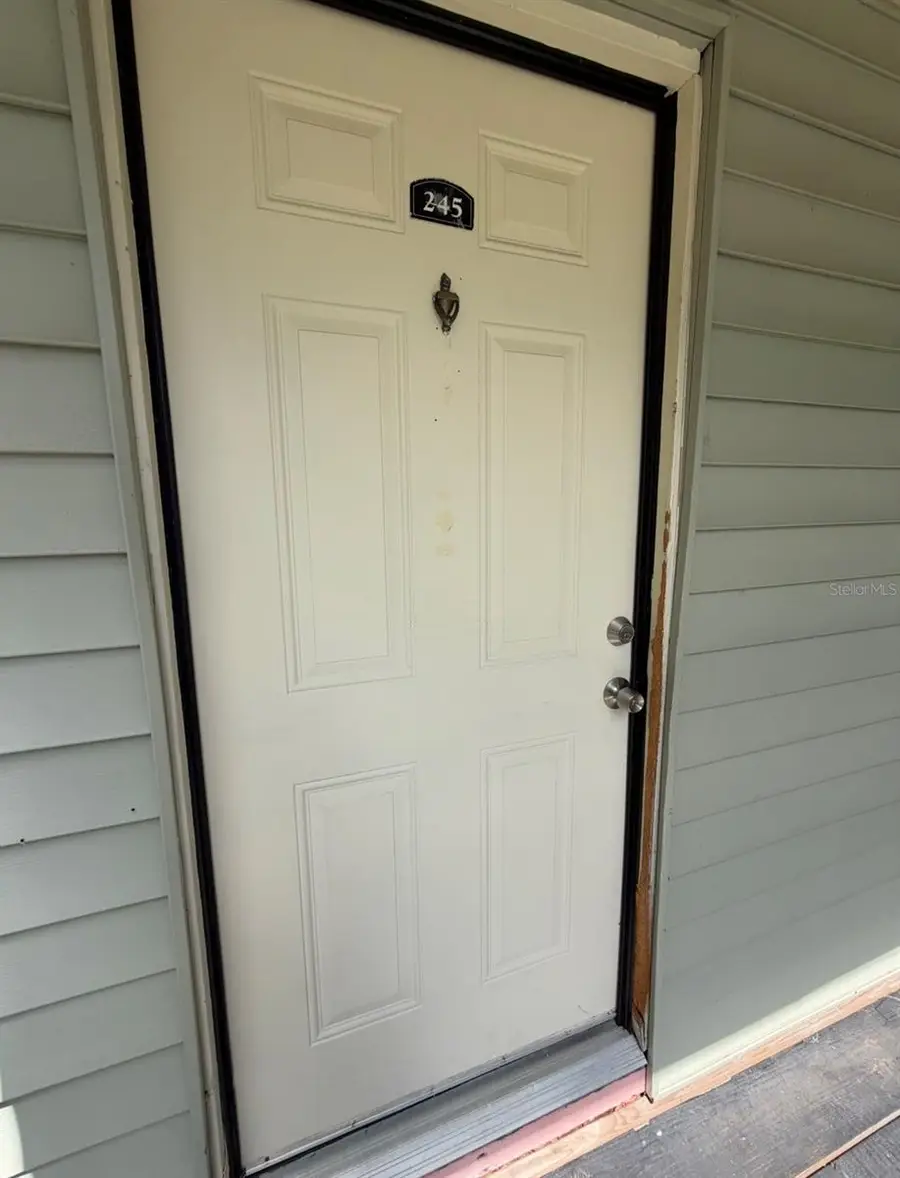 245 Red Maple Place, Brandon, FL 33510 - #3