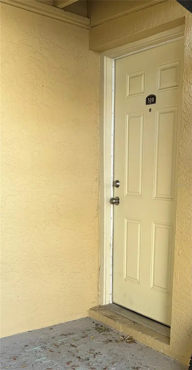 510 Golden Raintree Place, Brandon, FL 33510 - #3