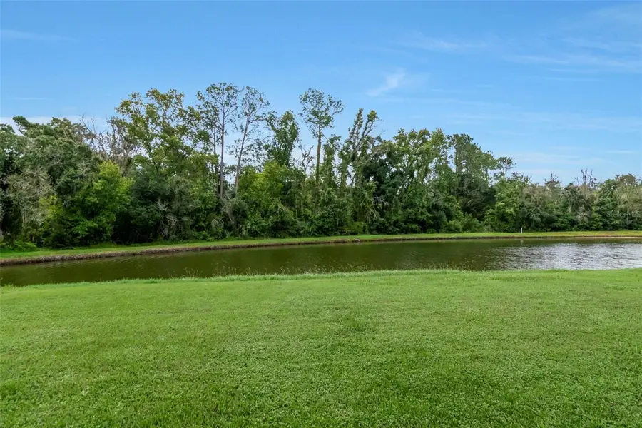 27512 Breakers Drive, Wesley Chapel, FL 33544 - #2