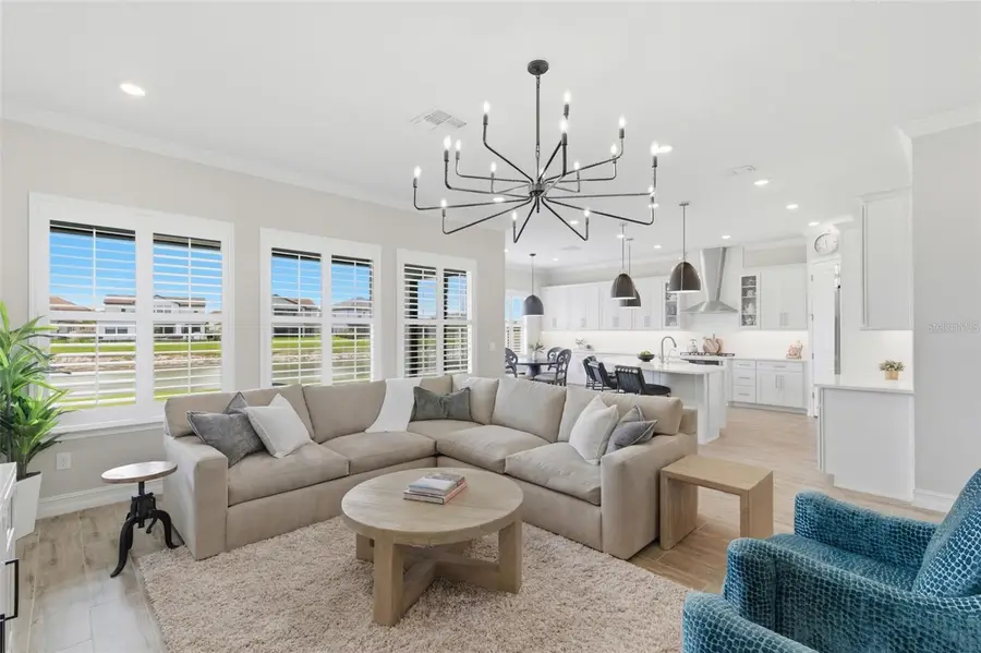 29657 Picana Lane, Wesley Chapel, FL 33543 - #3