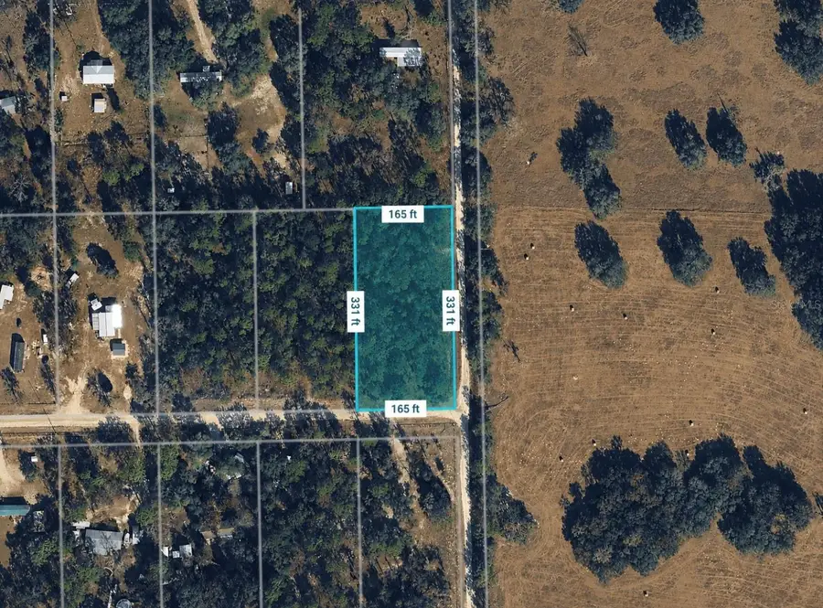 Unassigned SE 67th Place, Morriston, FL 32668 - #2