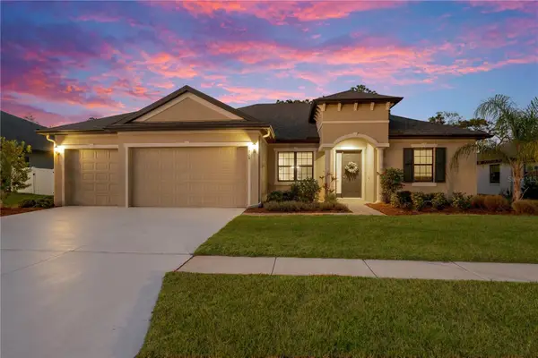 3908 Gaviota Drive, SUN CITY CENTER, FL 33573