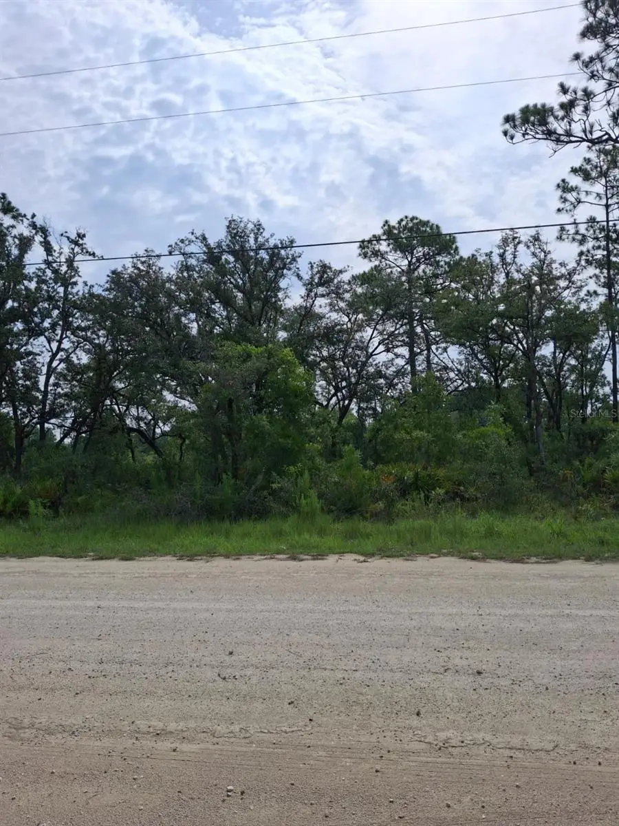 18308 Parakeet Road, Weeki Wachee, FL 34614 - #1