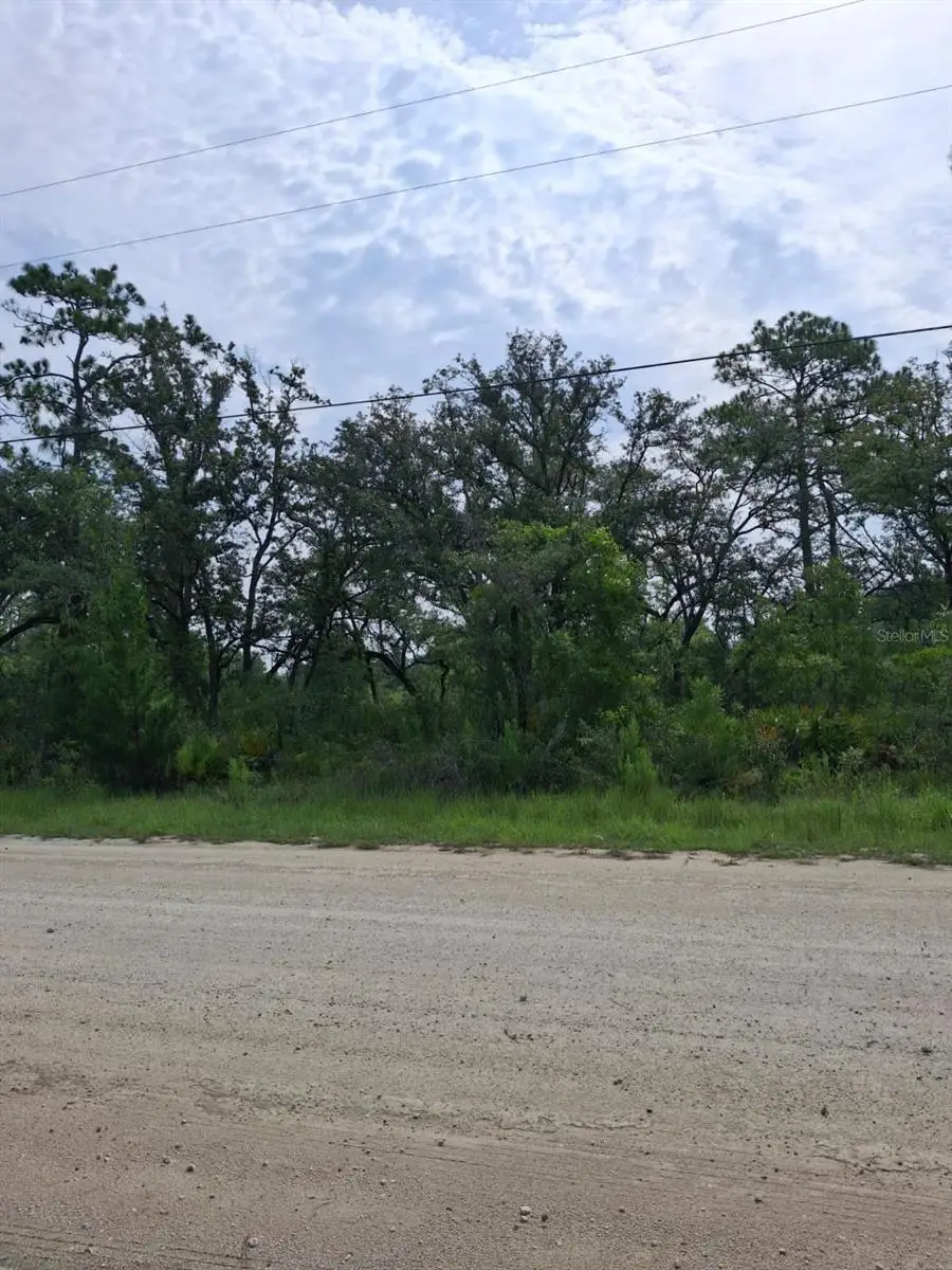 18308 Parakeet Road, Weeki Wachee, FL 34614 - #2