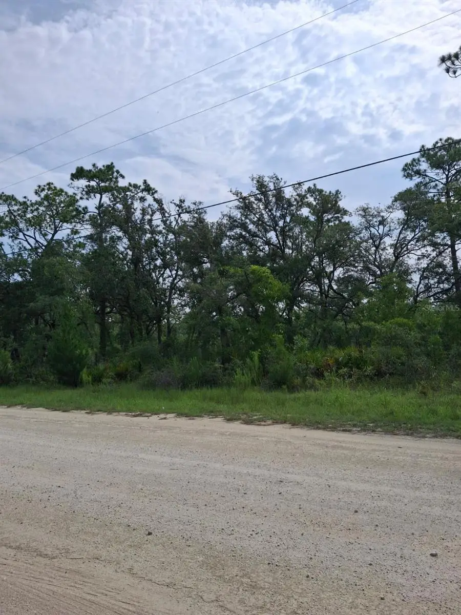 18308 Parakeet Road, Weeki Wachee, FL 34614 - #3