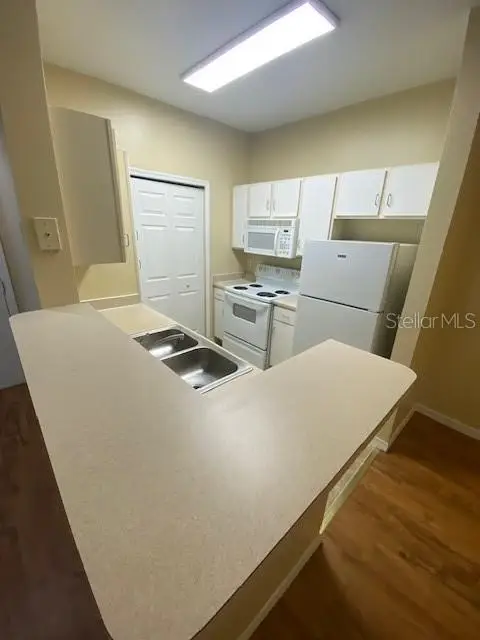 2010 E Palm Avenue #15208, Tampa, FL 33605 - #3