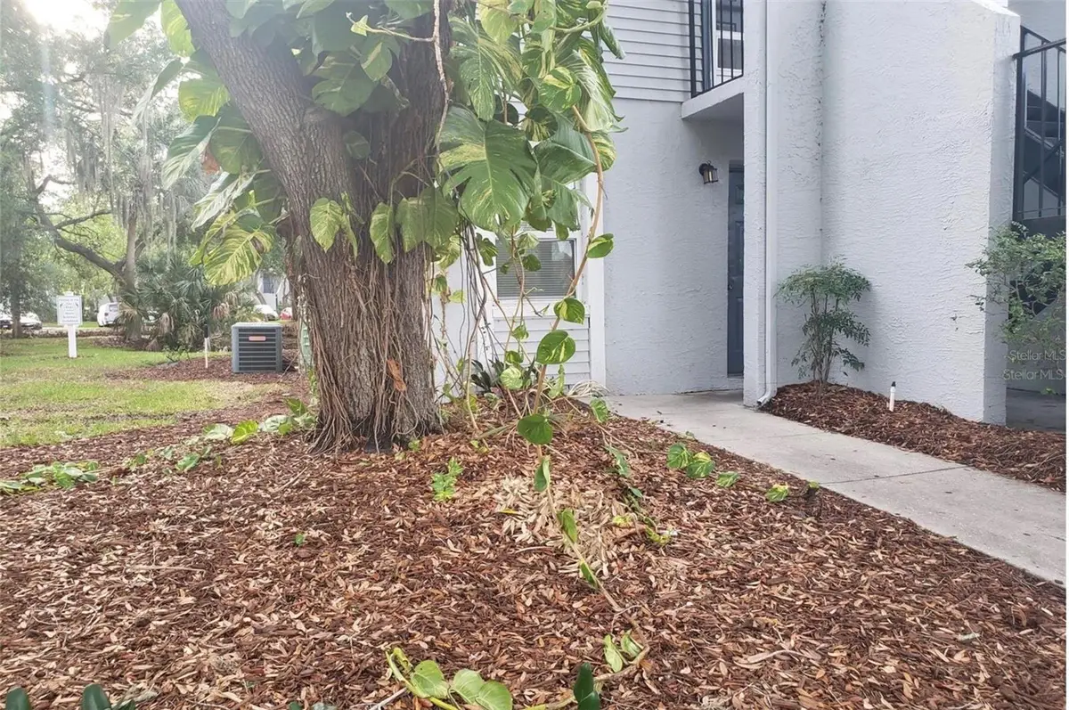 7100 Waterside Drive, Tampa, FL 33617 - #1