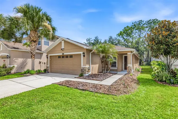 7861 Tuscany Woods Drive, TAMPA, FL 33647