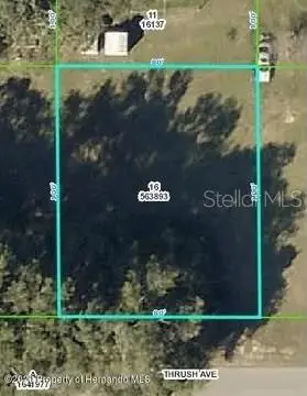 27275 Thrush Avenue, Brooksville, FL 34602 - #3