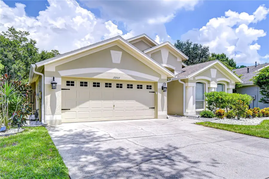 19707 Ellendale Drive, Land O Lakes, FL 34638 - #2
