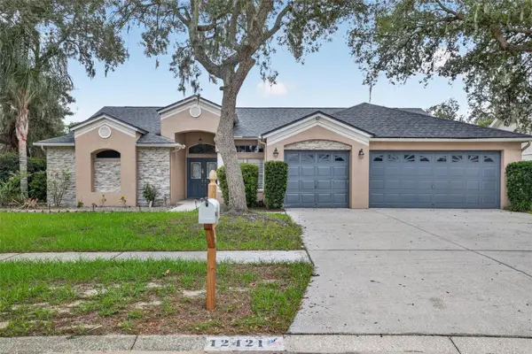 12421 Windswept Avenue, RIVERVIEW, FL 33569