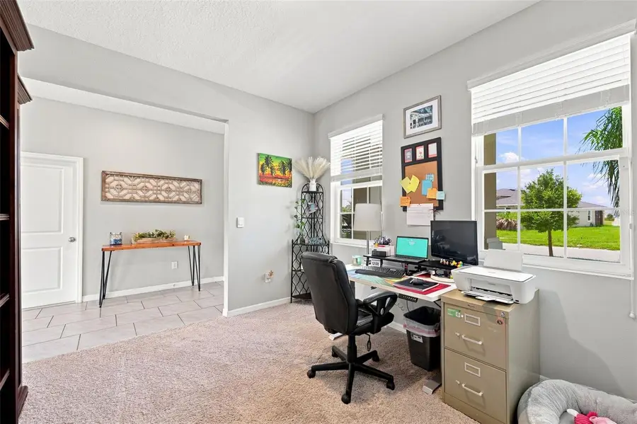 8673 Bower Bass Circle, Wesley Chapel, FL 33545 - #3