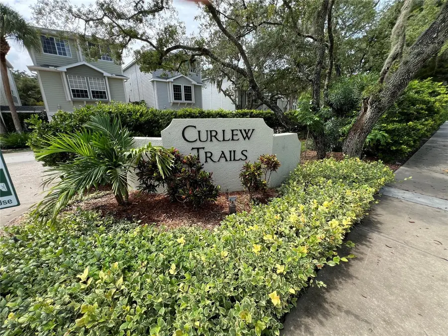 1383 Curlew Road, Dunedin, FL 34698 - #2