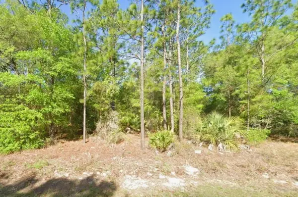 8621 N Blackthorn Avenue, CRYSTAL RIVER, FL 34428