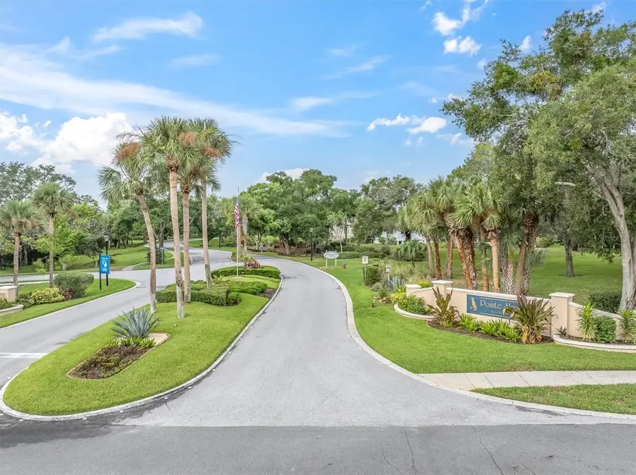 1083 S Pointe Alexis Drive, Tarpon Springs, FL 34689 - #3