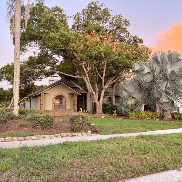 1015 Calle Rosa Place, SUN CITY CENTER, FL 33573