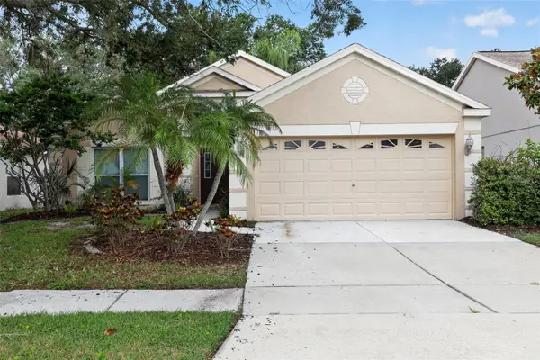 12421 Early Run Lane, RIVERVIEW, FL 33569
