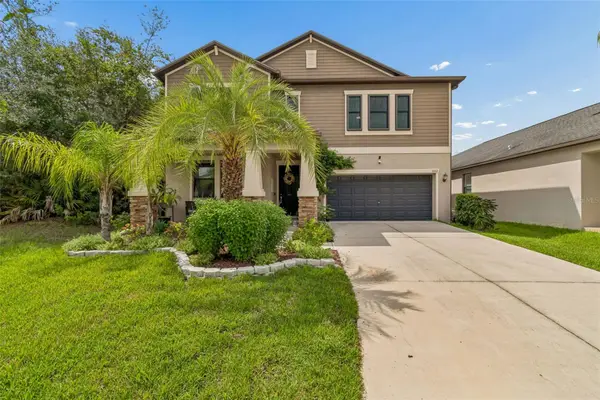 11002 Little Blue Heron Drive, RIVERVIEW, FL 33579