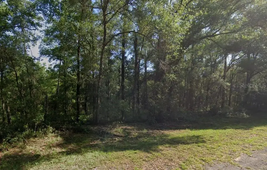 471 E Avondale Drive, Citrus Springs, FL 34434 - #1