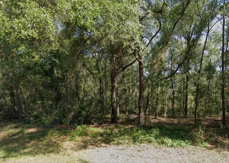 471 E Avondale Drive, Citrus Springs, FL 34434 - #2