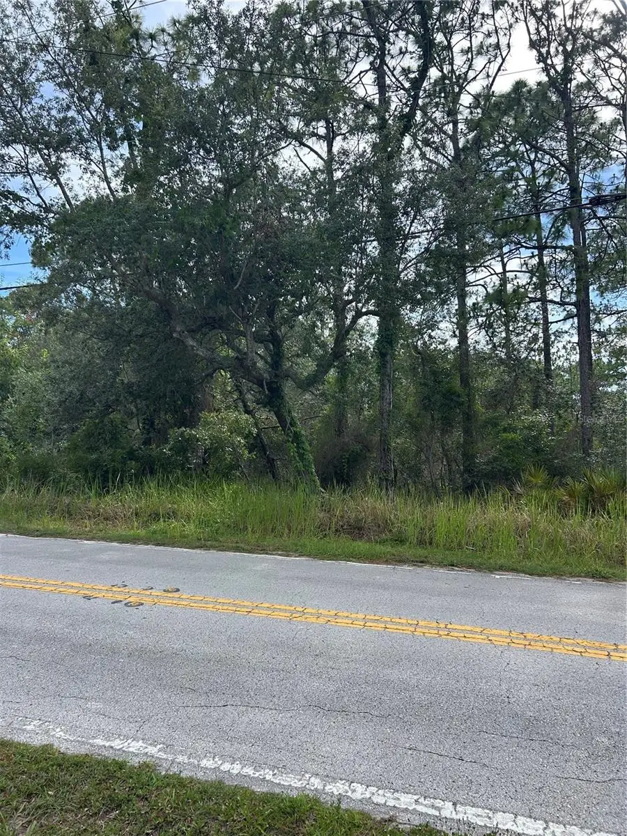 8131 Nightingale Road, Weeki Wachee, FL 34613 - #1