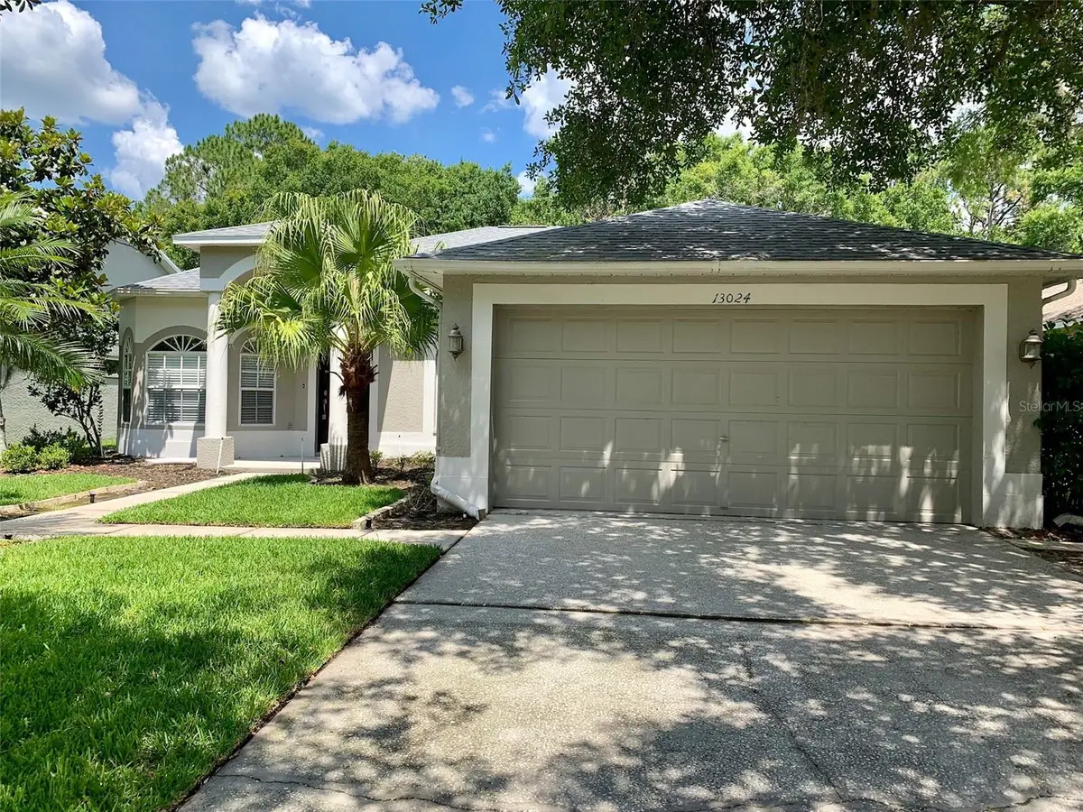 13024 Royal George Avenue, Odessa, FL 33556 - #1