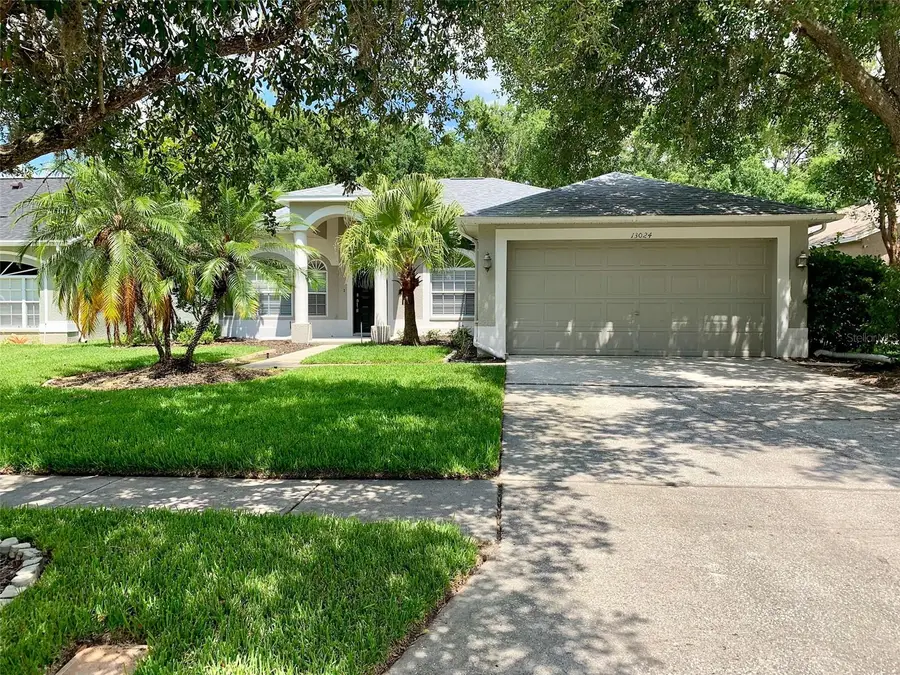 13024 Royal George Avenue, Odessa, FL 33556 - #2