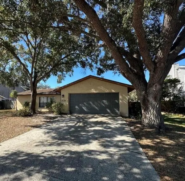 4305 Ellenville Place, VALRICO, FL 33596