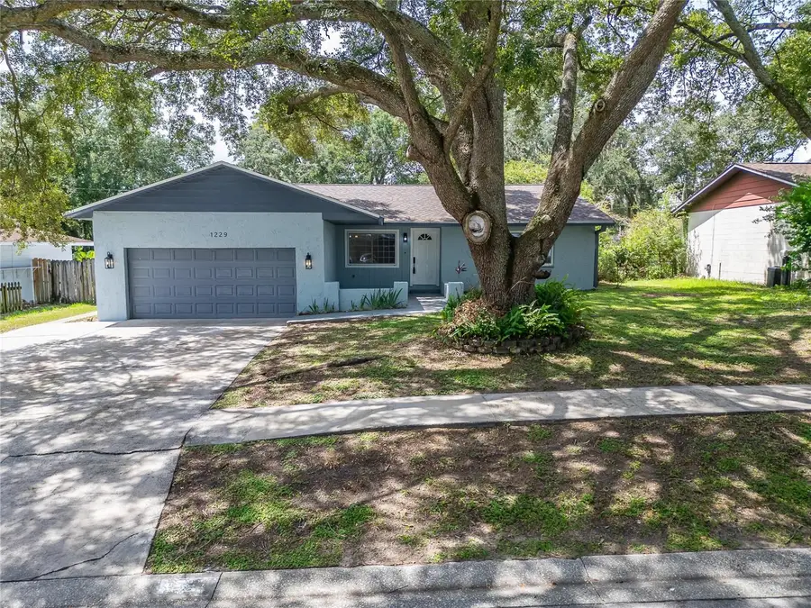 1229 Oak Valley Drive, Seffner, FL 33584 - #3