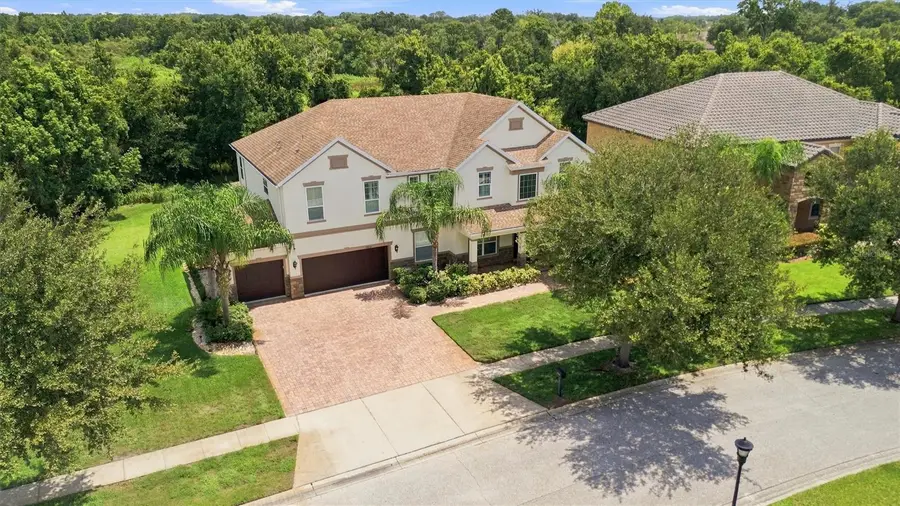 19902 Wellington Manor Boulevard, Lutz, FL 33549 - #3