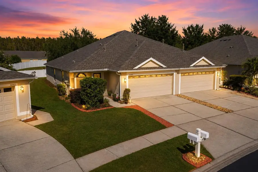 30907 Whitlock Drive, Wesley Chapel, FL 33543 - #2